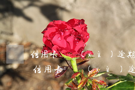 信用卡連續(xù)逾期兩個月會怎么樣-信用卡連續(xù)逾期兩個月會怎么樣處理