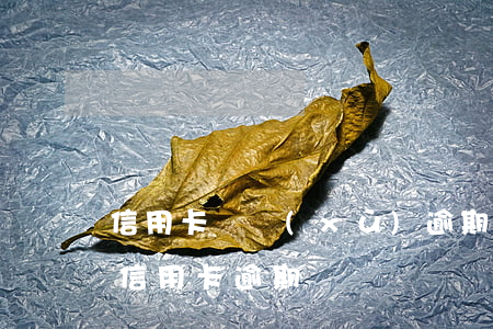 信用卡連續(xù)逾期后兩年(兩年十幾次信用卡逾期)
