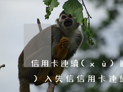 信用卡連續(xù)逾期多久會進(jìn)入失信（信用卡連續(xù)逾期多久會進(jìn)入失信）