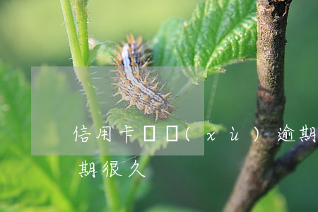 信用卡連續(xù)逾期是啥意思(信用卡逾期很久)