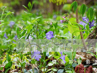 信用卡連續(xù)逾期會封卡嗎(網(wǎng)貸逾期會影響信用卡封卡嗎)