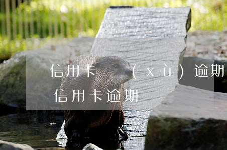信用卡連續(xù)逾期終身記錄-十年前信用卡逾期記錄