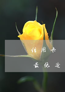 信用卡連續(xù)逾期連續(xù)只還最低(逾期三個月信用卡已還清最低)