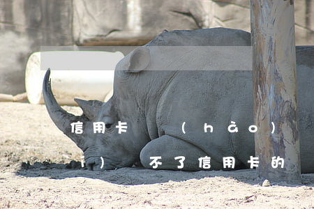 信用卡連號(hào)還不起-一時(shí)還不了信用卡的錢