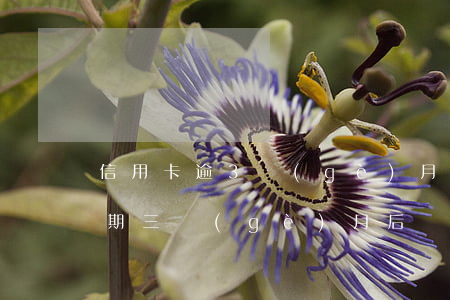 信用卡逾3個(gè)月期怎么辦(信用卡逾期三個(gè)月后)