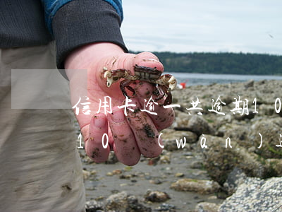 信用卡逾一共逾期10萬(wàn)(信用卡10萬(wàn)逾期多久會(huì)被起訴)