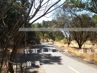 信用卡逾一天一算逾期嗎(有信用卡逾期一年的嗎)