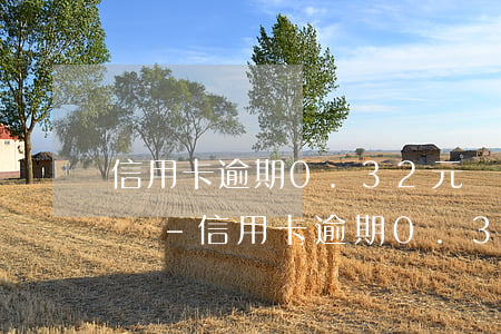 信用卡逾期0.32元凍結(jié)怎么辦-信用卡逾期0.32元凍結(jié)怎么辦呢