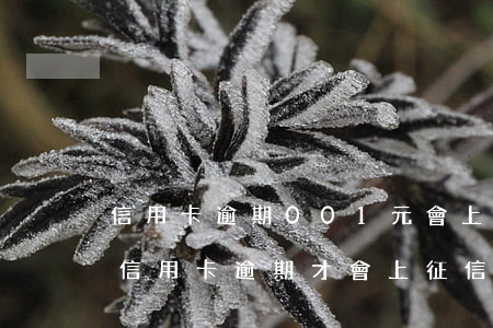 信用卡逾期001元會上征信嗎(是不是只有信用卡逾期才會上征信)