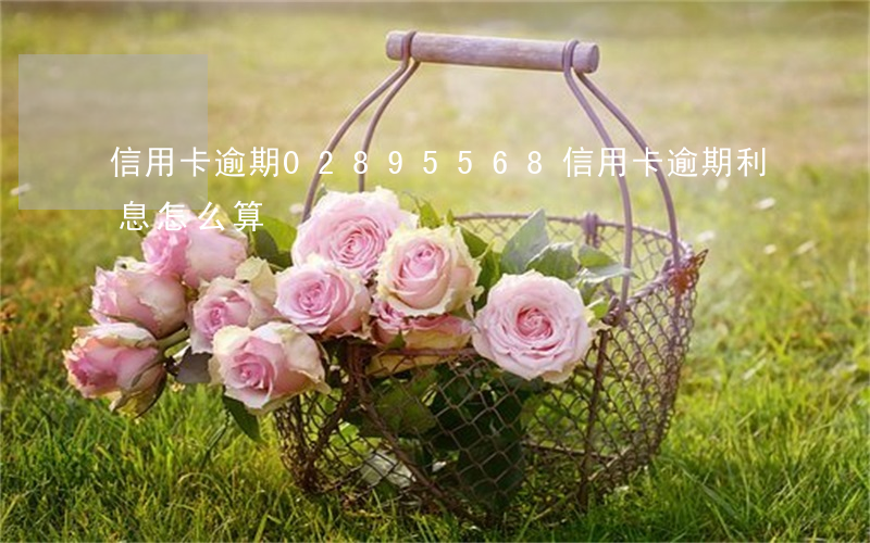 信用卡逾期02895568(信用卡逾期利息怎么算)