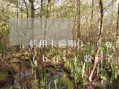 信用卡逾期0萬(wàn)萬(wàn)會(huì)收房子嗎(一萬(wàn)以下的信用卡逾期后果)