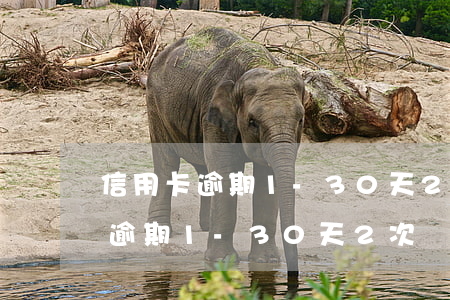 信用卡逾期1-30天2次沒事吧-信用卡逾期1-30天2次沒事吧怎么辦