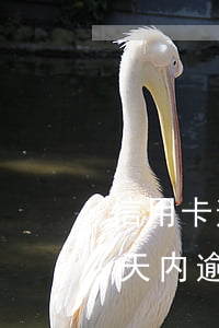 信用卡逾期1-30天多久消除(信用卡90天内逾期)