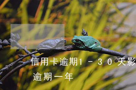 信用卡逾期1-30天影響(信用卡20塊錢逾期一年)