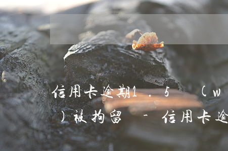 信用卡逾期1.5萬(wàn)會(huì)被拘留嗎-信用卡逾期15萬(wàn)會(huì)被拘留嗎