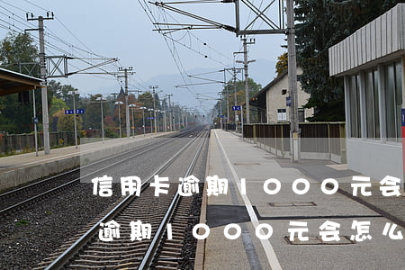 信用卡逾期1000元会怎么样办-信用卡逾期1000元会怎么样办呢