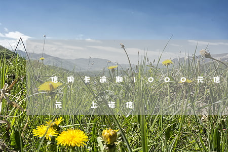 信用卡逾期1000元(信用卡逾期1000元會上征信嗎)