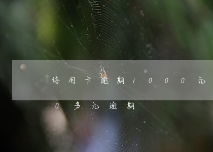 信用卡逾期1000元能起訴嗎(信用卡100多元逾期)