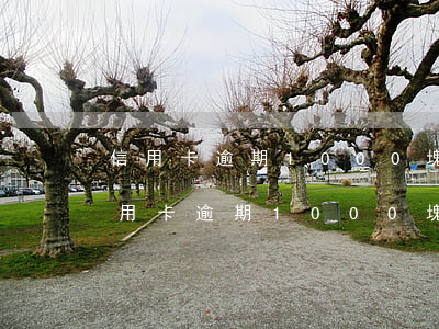 信用卡逾期1000塊錢被起訴的后果-信用卡逾期1000塊錢被起訴的后果是什么