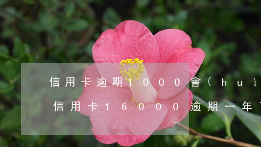 信用卡逾期1000會(huì)坐牢嗎(欠信用卡16000,逾期一年了會(huì)坐牢么?)