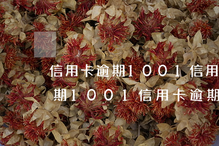 信用卡逾期1001信用卡逾期-信用卡逾期1001信用卡逾期會(huì)怎么樣