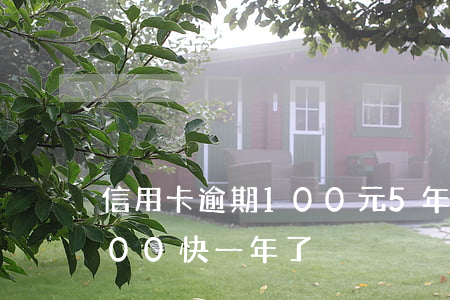 信用卡逾期100元5年(信用卡逾期10000 快一年了)