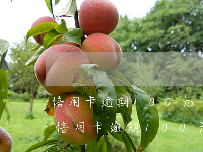 信用卡逾期100元一個月復(fù)利-信用卡逾期100元一個月復(fù)利多少