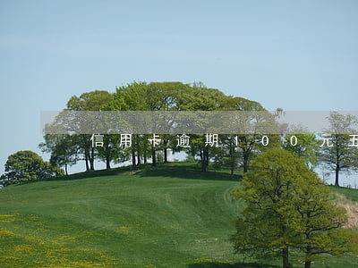 信用卡逾期100元五年要还多少