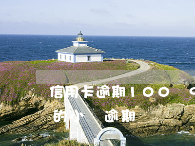 信用卡逾期100塊9個月(信用卡100元的小額逾期)
