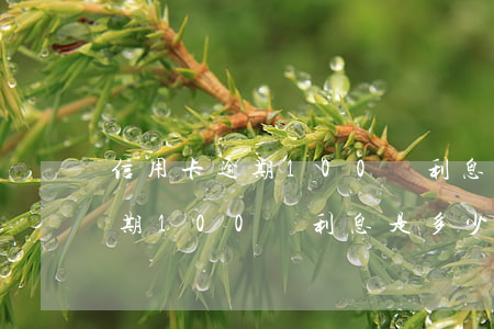 信用卡逾期100塊利息是多少-信用卡逾期100塊利息是多少錢