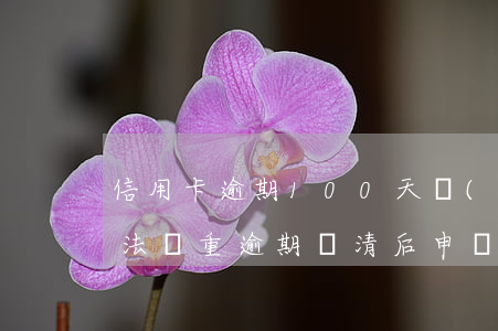 信用卡逾期100天協(xié)商還款方法(嚴重逾期還清后申請信用卡)