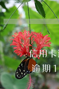 信用卡逾期100天屬于五級分類-信用卡逾期100天屬于五級分類中的