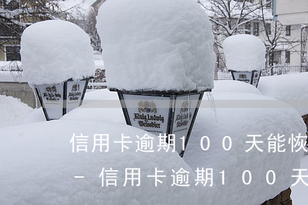 信用卡逾期100天能恢復(fù)征信嗎-信用卡逾期100天能恢復(fù)征信嗎知乎