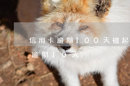 信用卡逾期100天被起訴(信用卡100元逾期10天)