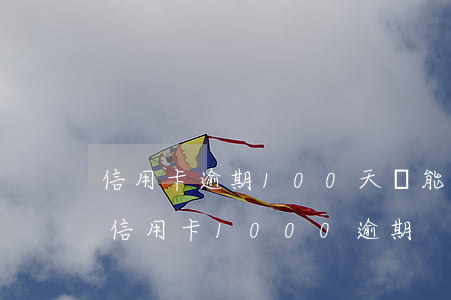 信用卡逾期100天還能補(bǔ)救嗎-信用卡1000逾期