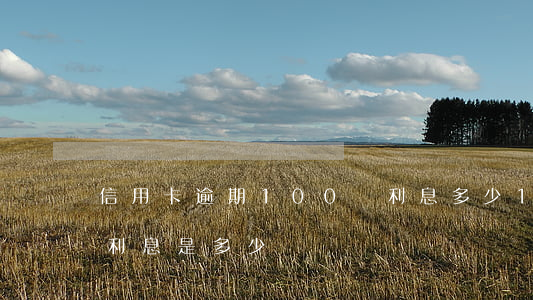 信用卡逾期100萬利息多少 100萬逾期利息是多少