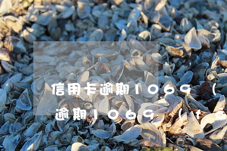 信用卡逾期1069發(fā)信息(信用卡逾期1069發(fā)信息說幾號開庭)