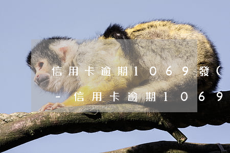 信用卡逾期1069發(fā)短信要上門-信用卡逾期1069發(fā)短信要上門是真的嗎