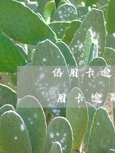 信用卡逾期1069發的短信能當真嗎-信用卡逾期1069發的短信能當真嗎是真的嗎