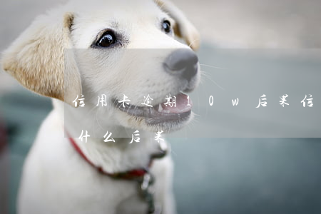 信用卡逾期10w后果(信用卡逾期十幾萬是什么后果)