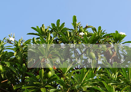 信用卡逾期10w多久起訴(四十萬(wàn)信用卡逾期被判多久?)