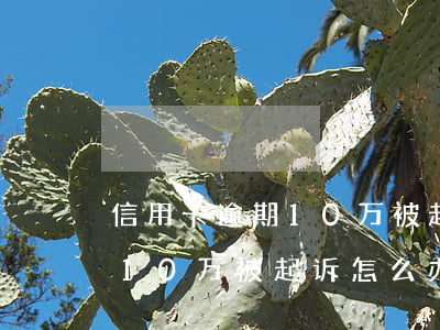 信用卡逾期10万被起诉怎么办(信用卡逾期10万被起诉怎么办)