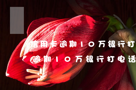信用卡逾期10万银行打电话协商-信用卡逾期10万银行打电话协商还款