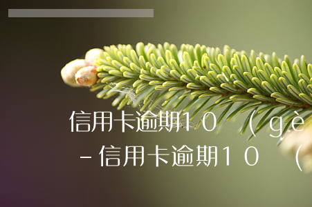 信用卡逾期10個(gè)月沒錢還怎么辦-信用卡逾期10個(gè)月沒錢還怎么辦呢