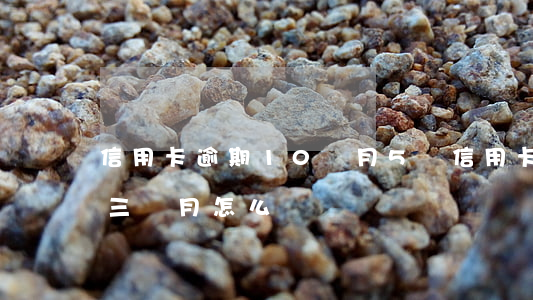 信用卡逾期10個月5萬(信用卡10萬逾期三個月怎么辦)