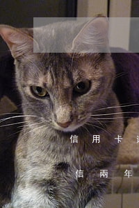 信用卡逾期10個月(信用卡逾期10個月征信兩年會恢復(fù)嘛)