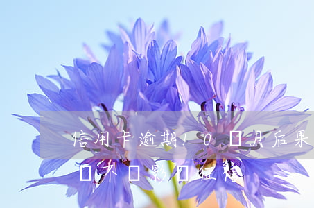 信用卡逾期10個月后果(信用卡10天逾期會不會影響征信)