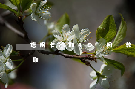 信用卡逾期10個月還款(信用卡10幾天逾期)