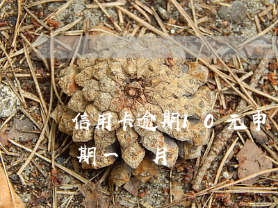 信用卡逾期10元申請房貸(信用卡10元逾期一個月)