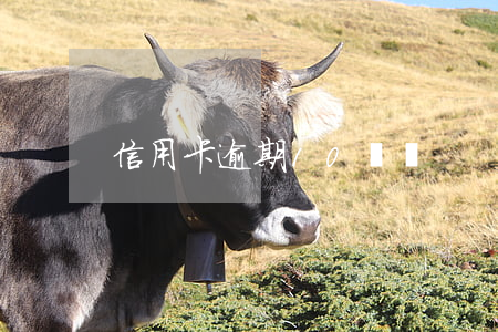 信用卡逾期10塊錢
